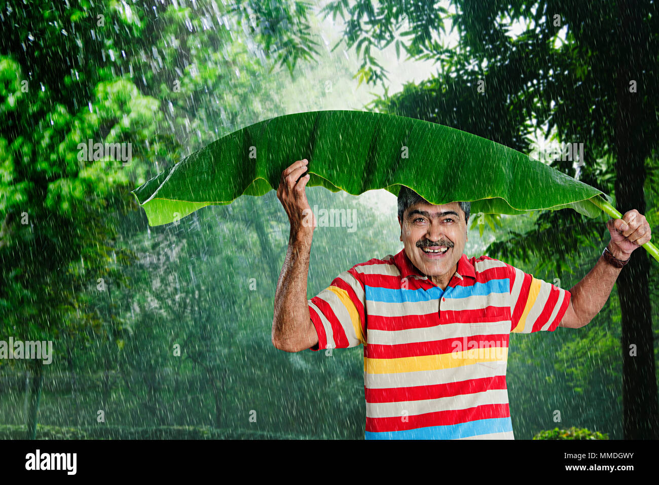 So nass, so liebenswert alter Mann mit Banane - Blatt Regenschirm Regen. Park Stockfoto
