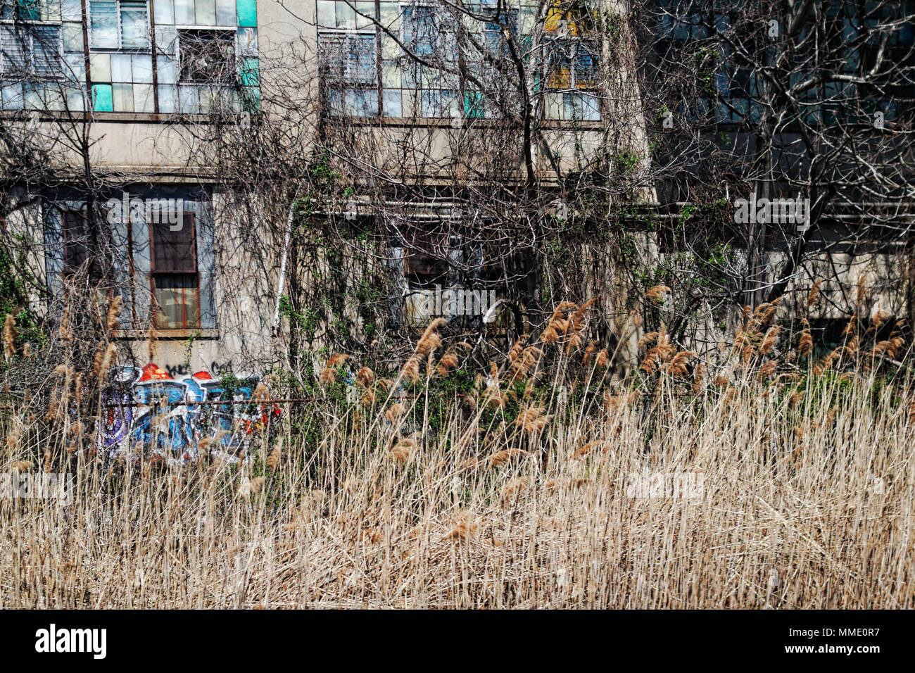 Verlassenes Gebaude In Graffiti Bedeckt Stockfotos Und Bilder Kaufen Alamy