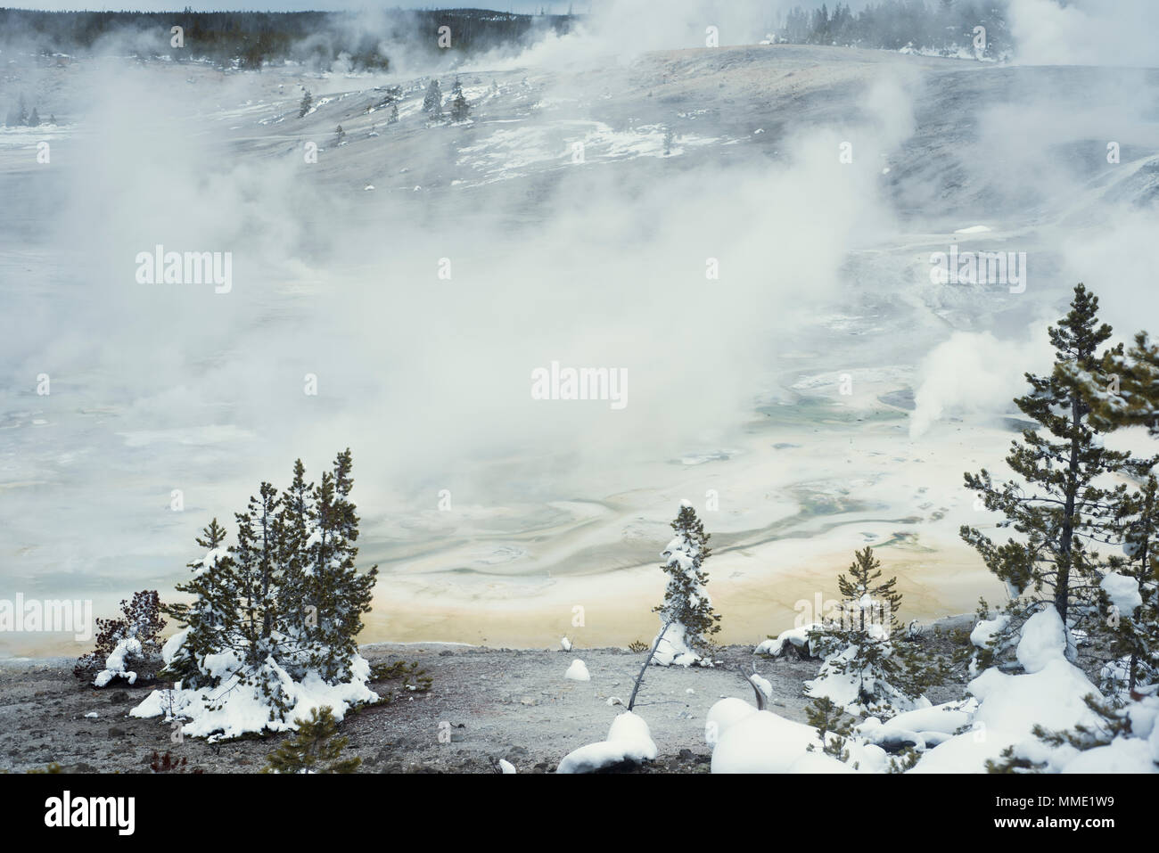 Norris Geyser Basin, Yellowstone-Nationalpark, Wyoming, Vereinigte Staaten von Amerika Stockfoto