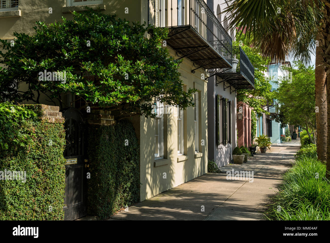 Sommer Straße - morgen Sommer Blick auf einer der vielen ruhigen, farbenfroh und gut erhaltenen historischen Straßen in der Innenstadt von Charleston, South Carolina, USA. Stockfoto