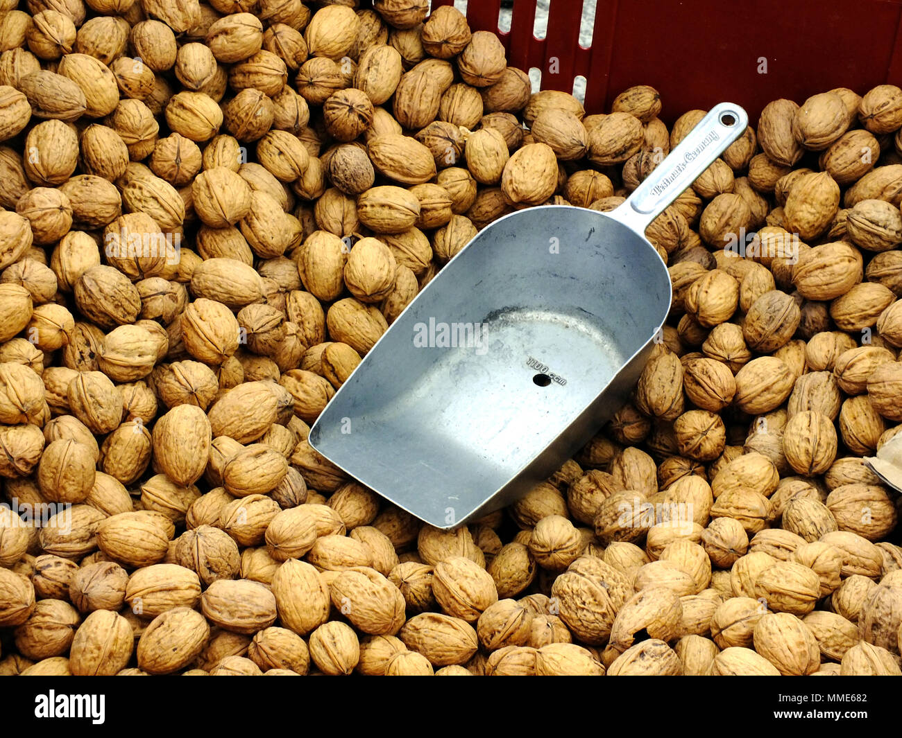 WALNUSS Stockfoto