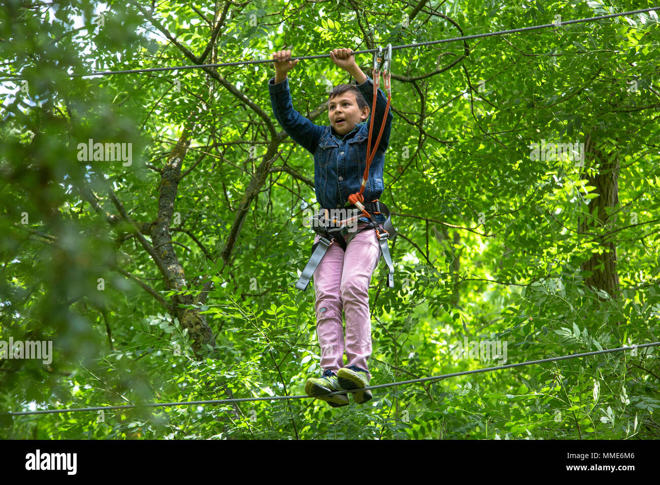 Der 11-jährige Junge auf einem Hochseilgarten. Frankreich. Stockfoto