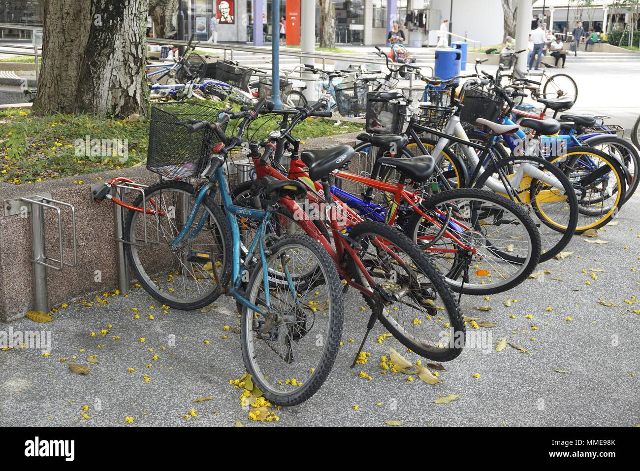 Gesicherte Fahrräder in Singapur Stockfoto