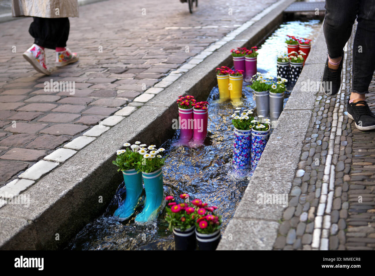 Gummistiefel im Wasser mit Blumen in der Stadt Freiburg. Touristische Attraktion. Stockfoto