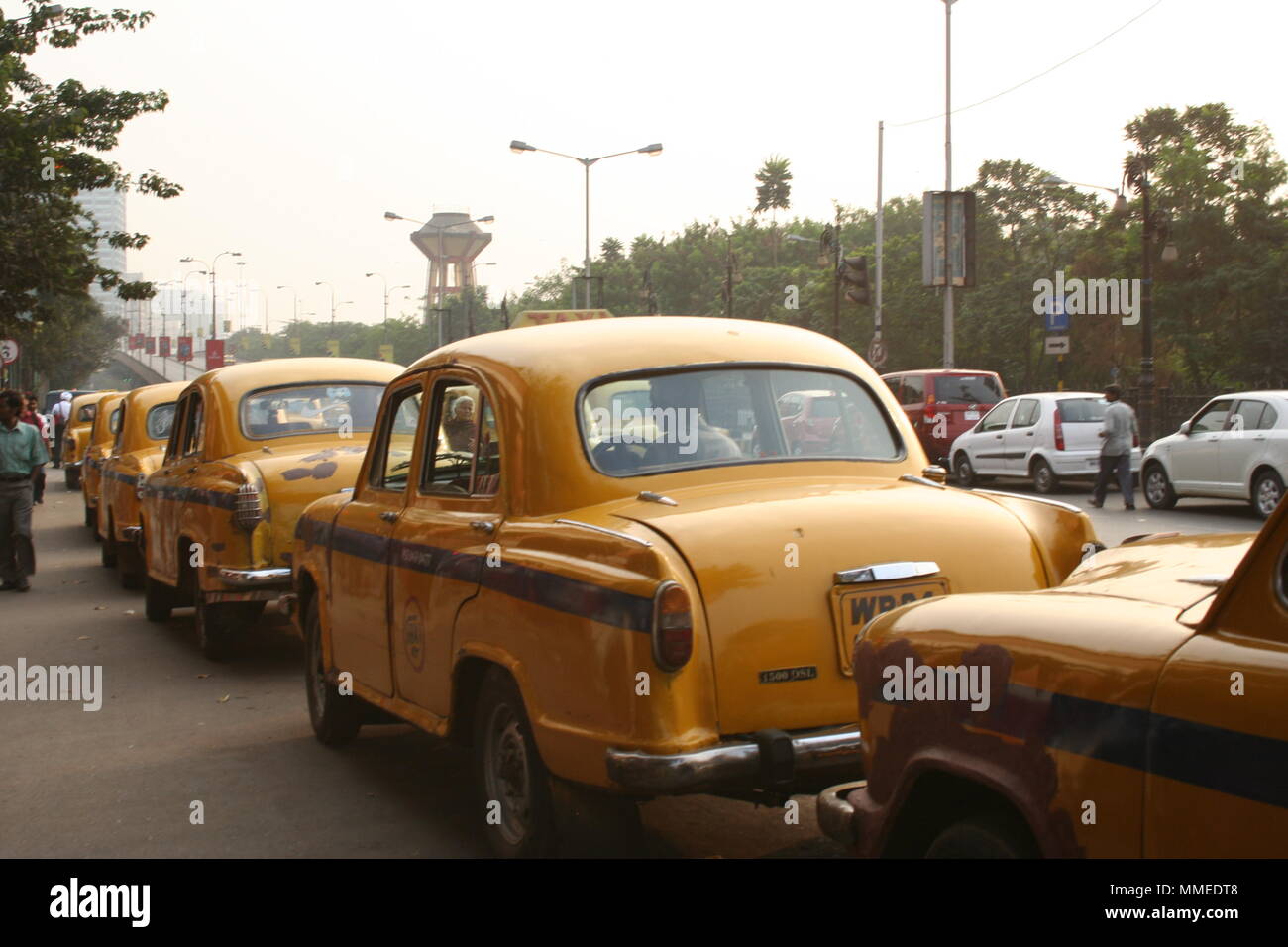 Gelbe Botschafter Taxis in einer Reihe, Kalkutta, Indien Stockfoto