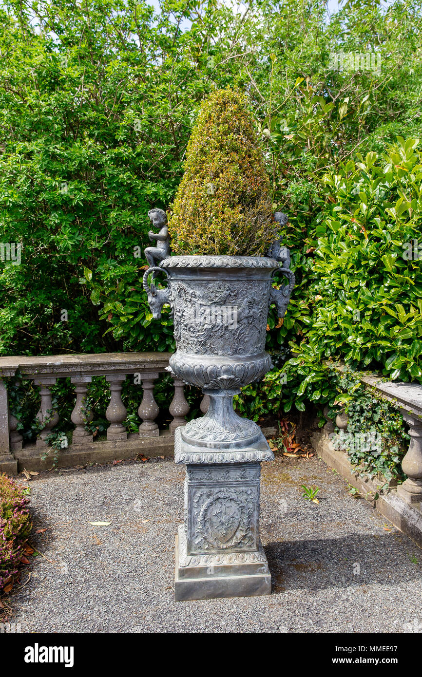 Antike Stein Pflanzmaschine mit buxus im Manor House in Palmerstown House Estate, Johnstown, Grafschaft Kildare, Irland Stockfoto