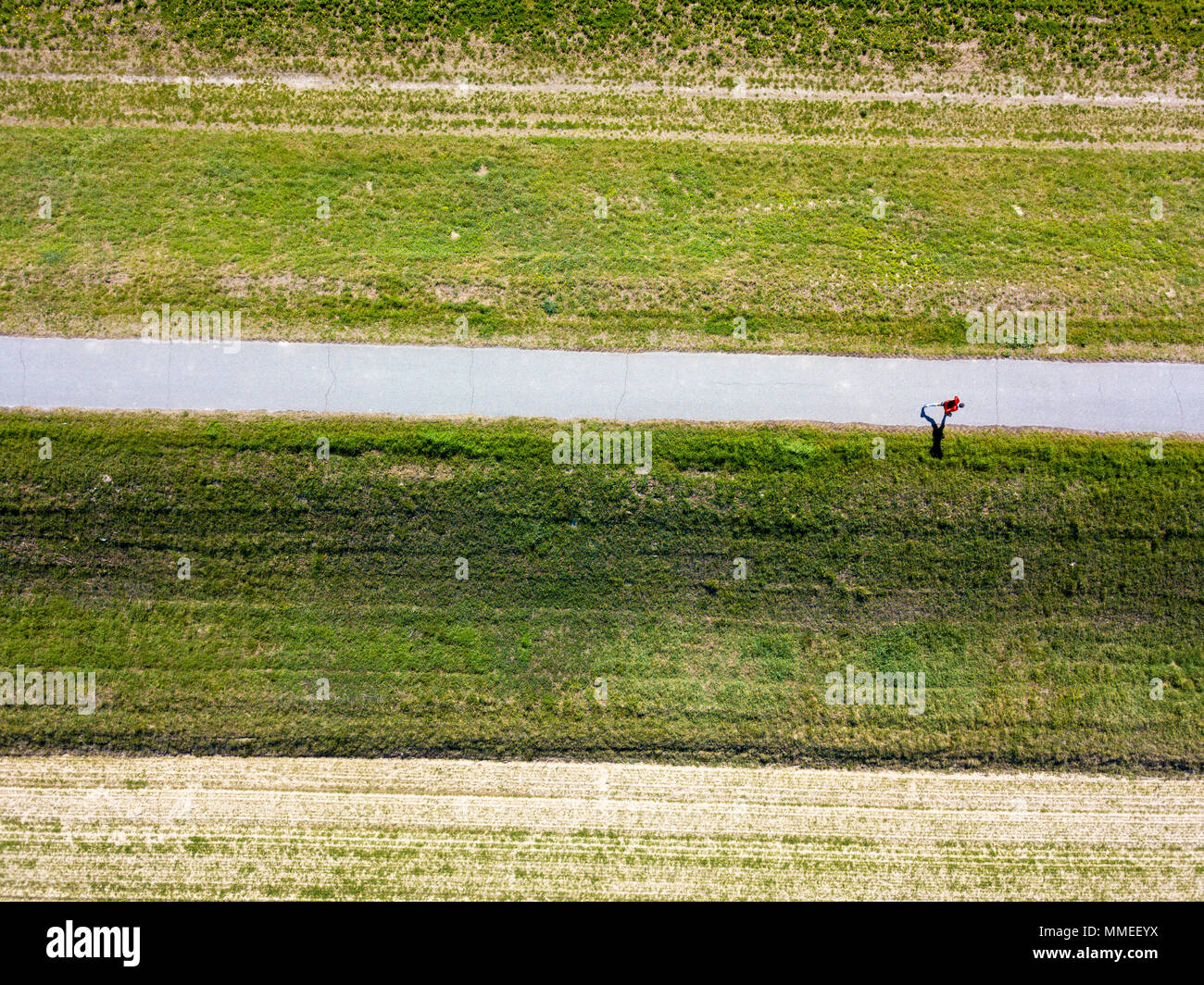 Laufender Mann, Ansicht von oben, Luftaufnahme, Training, Sport, Marathon. Landwirtschaftliche Felder. Landschaft Stockfoto