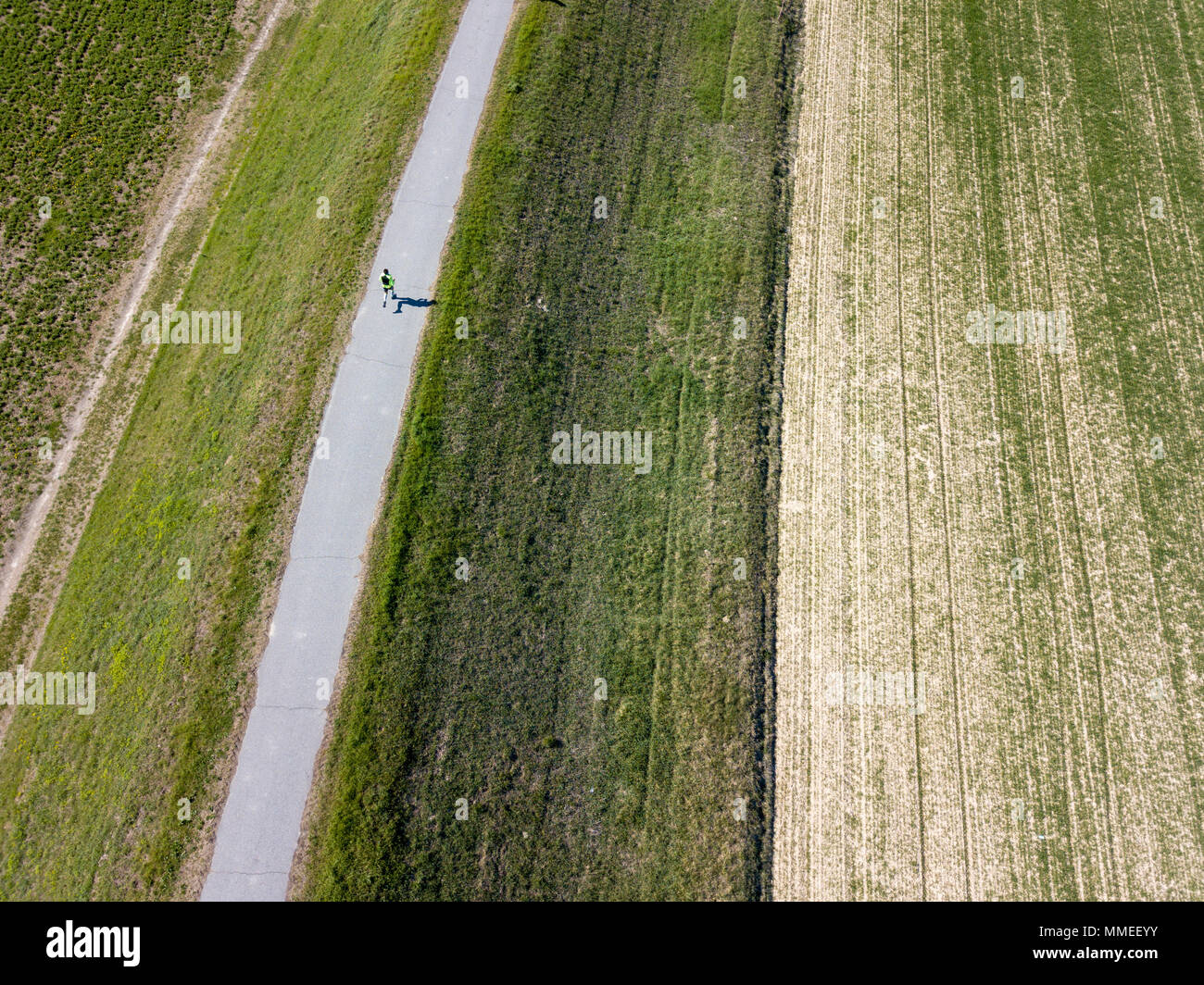 Laufender Mann, Ansicht von oben, Luftaufnahme, Training, Sport, Marathon. Landwirtschaftliche Felder. Landschaft Stockfoto