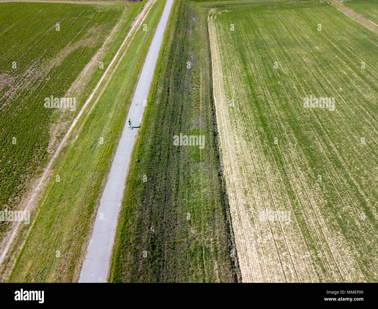 Laufender Mann, Ansicht von oben, Luftaufnahme, Training, Sport, Marathon. Landwirtschaftliche Felder. Landschaft Stockfoto