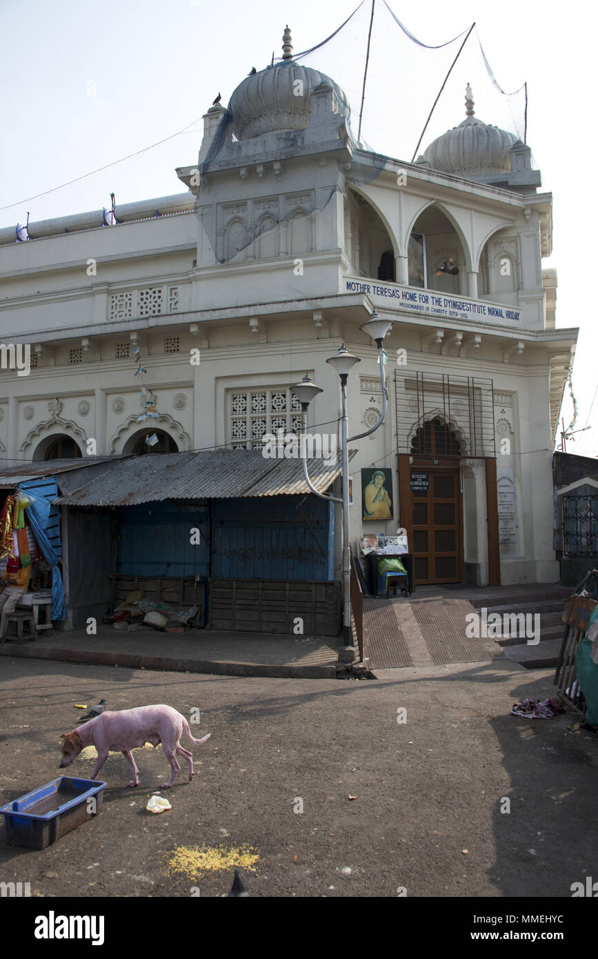 Mutter Teresa Haus für Sterbende in Kolkata, Indien Stockfoto