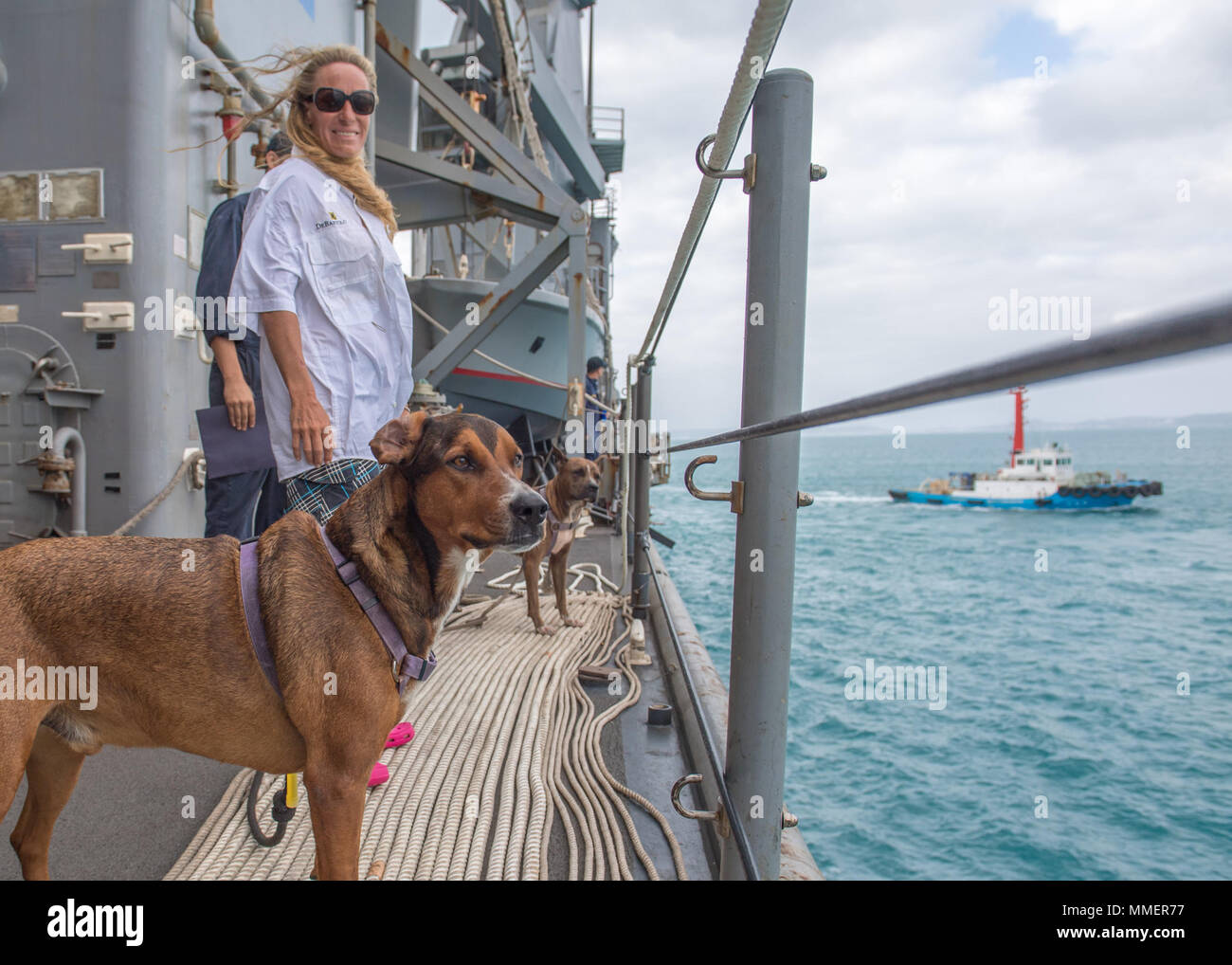 171030-N-UX 013-036 Okinawa, Japan (Okt. 2010) 30, 2017) Jennifer Appel, einer der zwei amerikanische Seeleute auf See gerettet, blickt auf das Wasser mit ihren beiden Hunden Valentine, Links, und Zeus, an Bord der Amphibischen dock Landung Schiff USS Ashland (LSD 48), als das Schiff zieht in Okinawa, Japan, die seemänner an Land zu liefern. Ashland, die in der Indo-Asia-Pazifik-Region auf einer routinemäßigen Bereitstellung, ist in Okinawa für eine geplante Hafen stoppen für die gemeinsame US-Navy-Marine Corps übung Blaue Chromit vorzubereiten. (U.S. Marine Foto von Mass Communication Specialist 3. Klasse Jonathan Ton/Freigegeben) Stockfoto