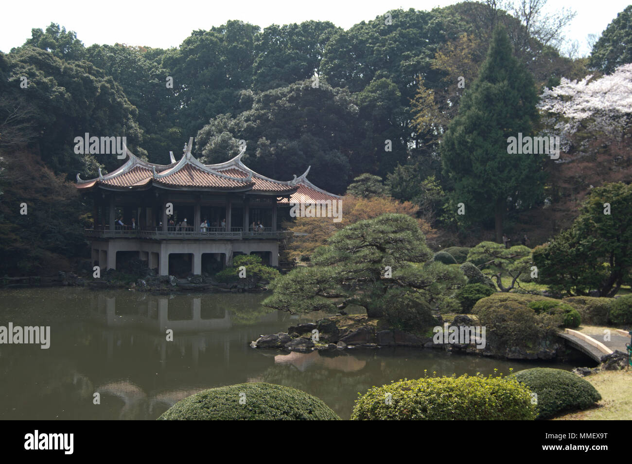 Traditionelle japanische Teehaus in Shinjuku Gyoen, Tokio, während der Kirschblüte Saison Stockfoto