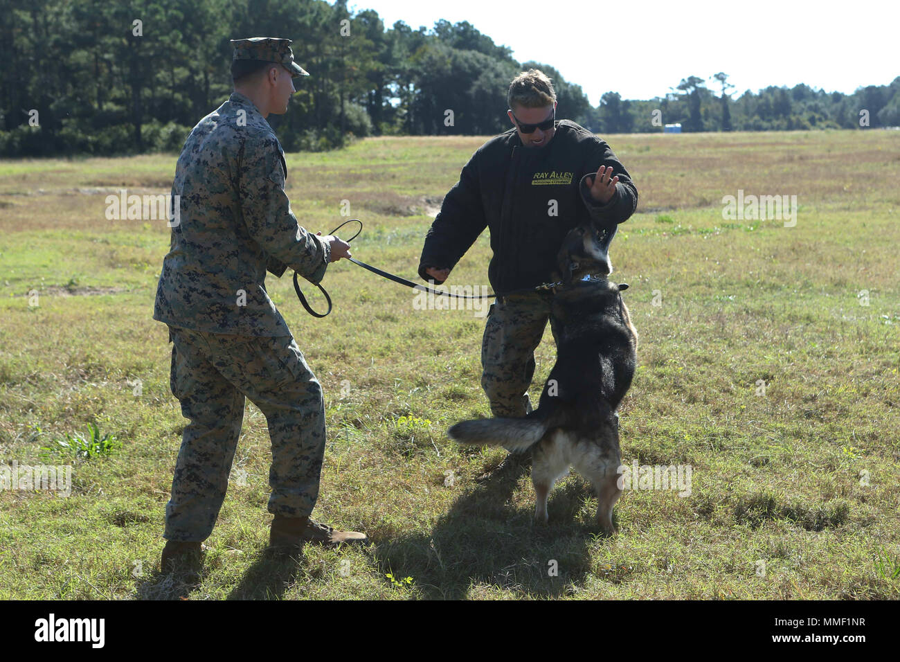 Us Marine Corps Cpl. Kevin Kelly, rechts, 2. die Strafverfolgungsbehörden Bataillon, Sitz der Gruppe II Marine Expeditionary Force (II MEF) und Sgt. Allen Ament, links, 2. die Strafverfolgungsbehörden Bataillon, Sitz der Gruppe II MEF, militärische Gebrauchshund Techniken während einer Übung in Camp Lejeune, N.C., Okt. 26, 2017 demonstrieren. Kelly und Ament Teil Fett Alligator 17, eine jährliche Übung die entworfen wurde, um die Navy und Marine Corps Team mit Partnerstaaten zu trainieren, zu verfeinern und zu stärken Kern amphibischen Kompetenzen Critical power Projektion auf den Seeverkehr. (U.S. Mar Stockfoto