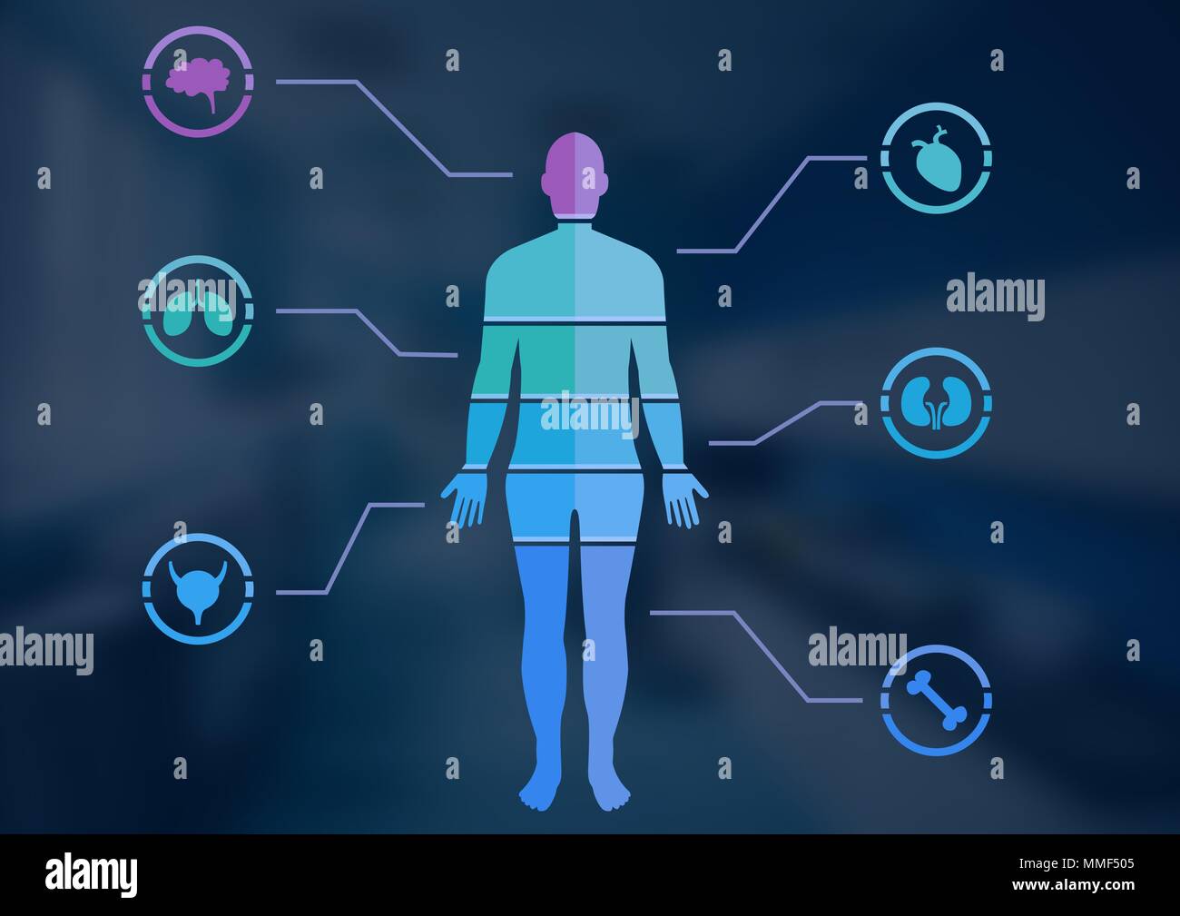 Menschliche Körper Chart und blauer Hintergrund Stockfoto