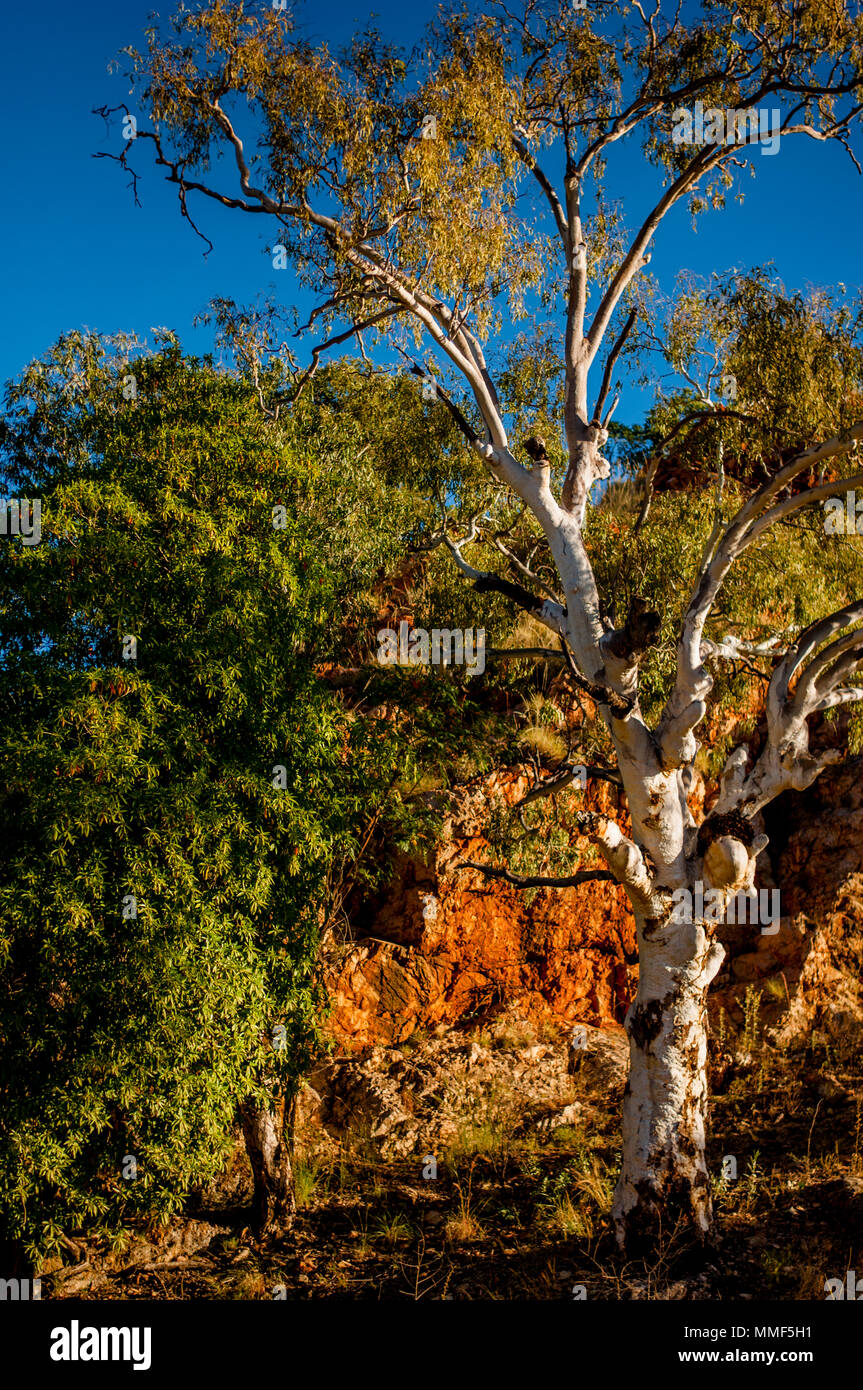 Western Australia, Australia Stockfoto