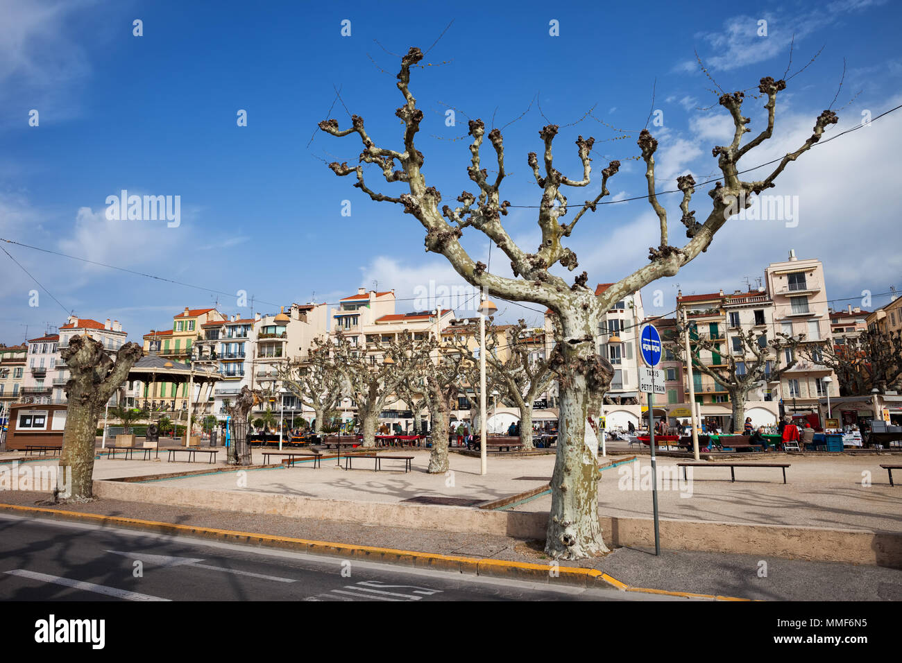 Stadt Cannes in Frankreich, Charles de Gaulle Liberty Pfade von Bäumen gesäumten Promenade Stockfoto