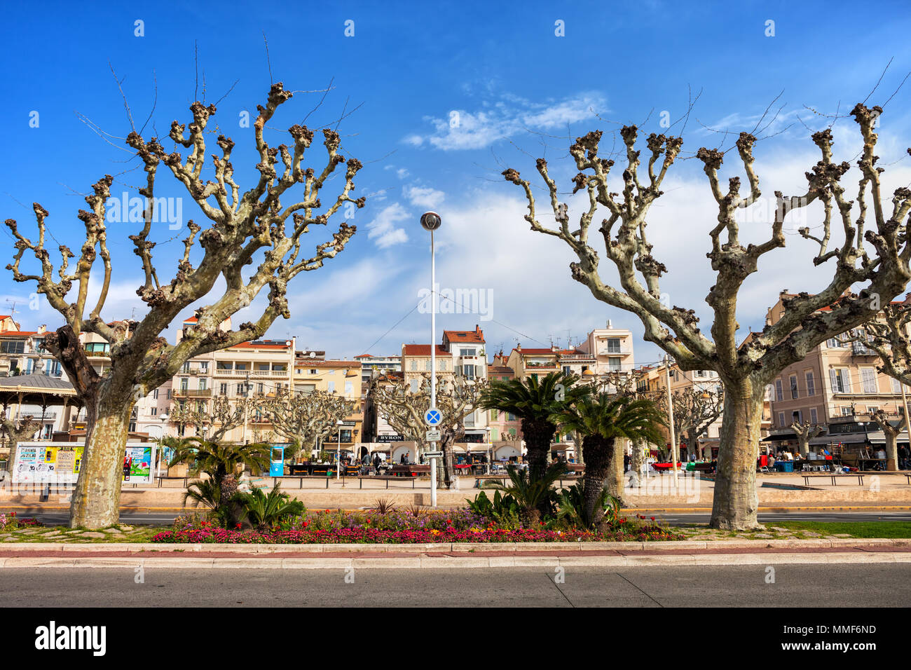 Skyline von Cannes in Frankreich, Charles de Gaulle Liberty Pfade von Bäumen gesäumten Promenade Stockfoto