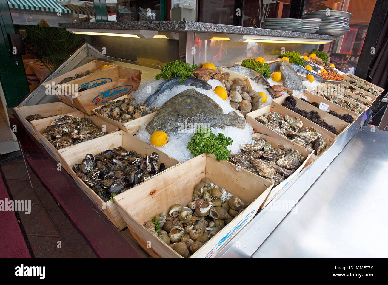 Meeresfrüchte Auswahl in einem Restaurant, Cours Saleya, Nizza, Côte d'Azur, Alpes Maritimes, Südfrankreich, Frankreich, Europa Stockfoto