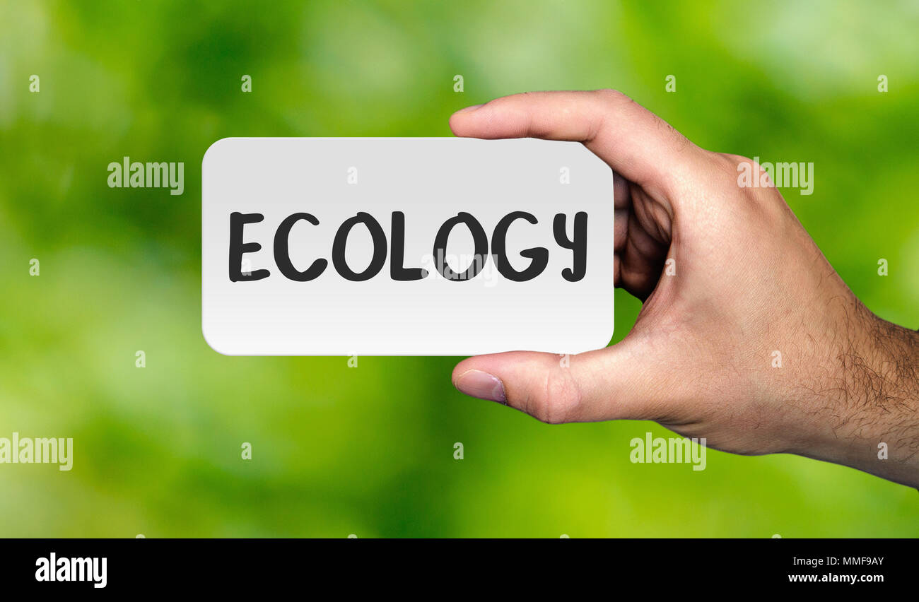 Hand, die Plakette mit Wort 'Ökologie'. ECO-Konzept. Foto lieferbar. Stockfoto