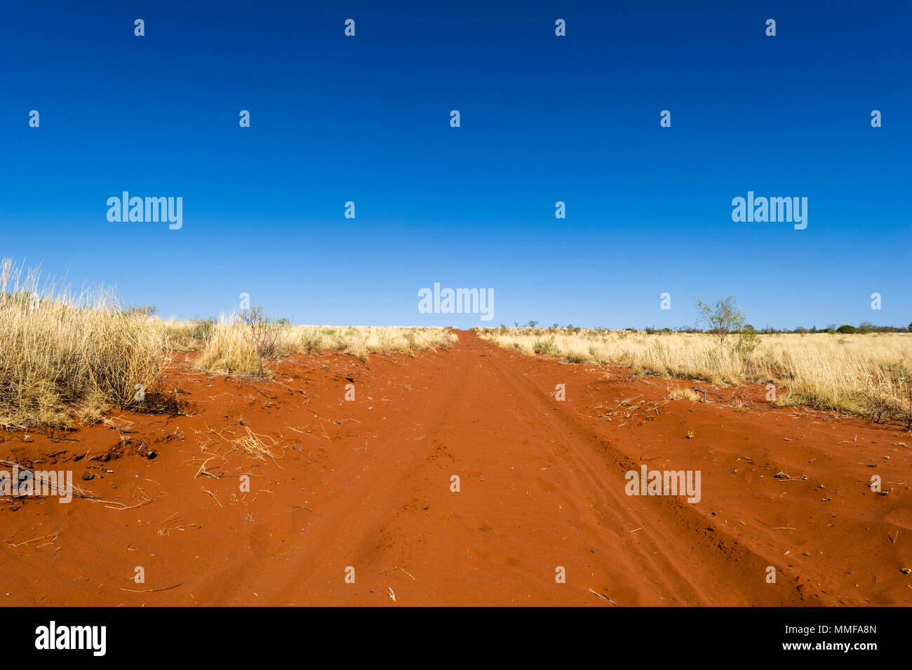 Ein roter Feldweg kreuzt ein Spinifex plain in der Wüste auf einer Outback Station. Stockfoto