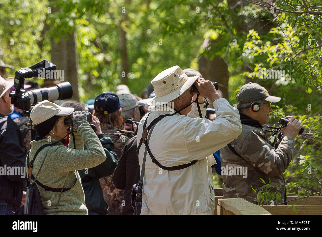 Vogelbeobachter versammelt auf der Promenade bei Magee Marsh Ohio während der laubsänger Migration die größte Woche im Amerikanischen Birding genannt. Stockfoto