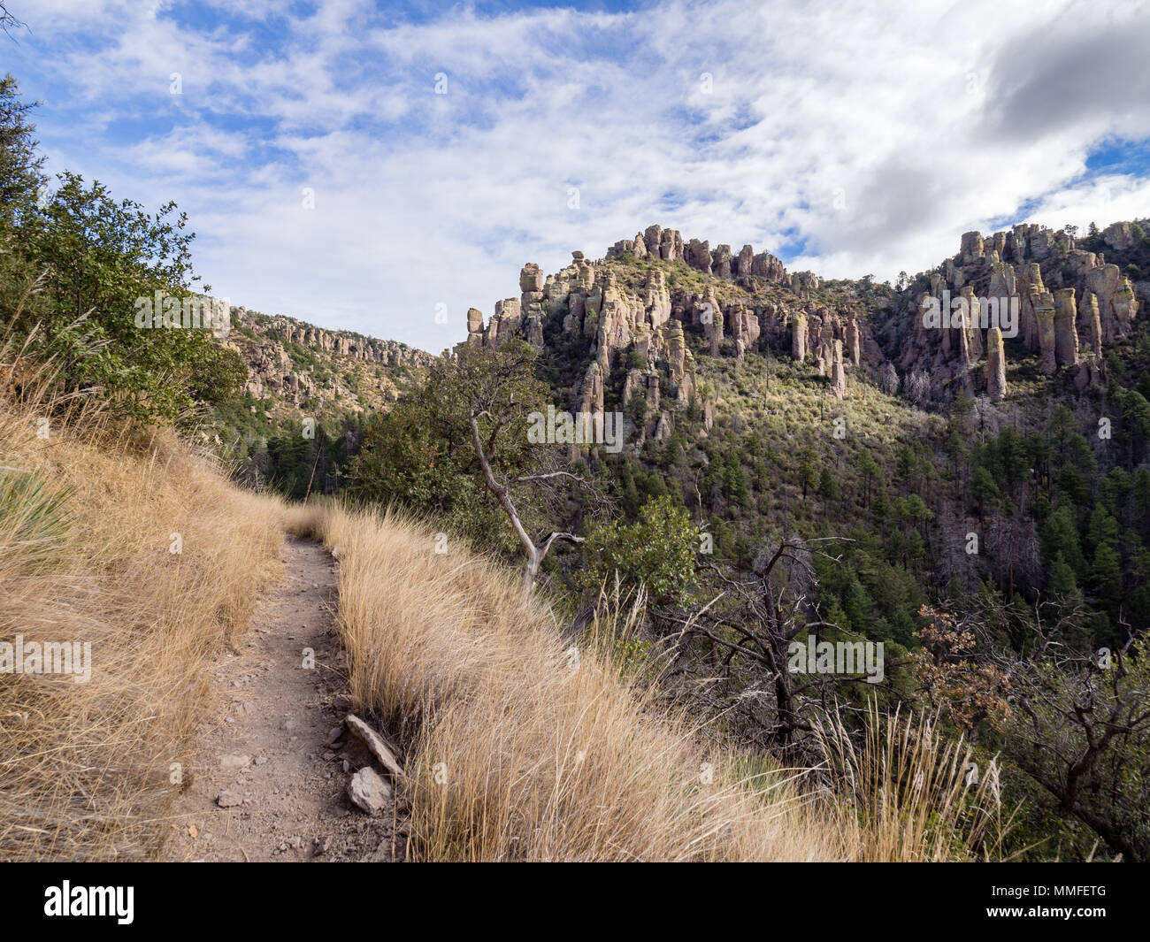 Hagelkorn Trail, der Chiricahua National Monument, in der Nähe von Williamsburg, Cochise County, Arizona, USA Stockfoto