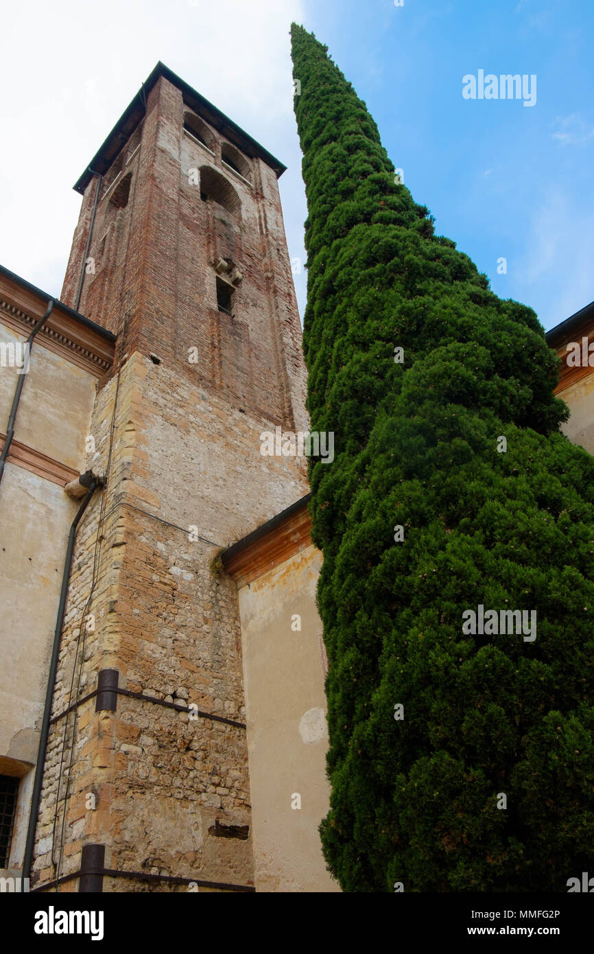Eine Zypresse und der Turm der Superior Schloss von Bassano del Grappa erreichen in den Himmel. Stockfoto