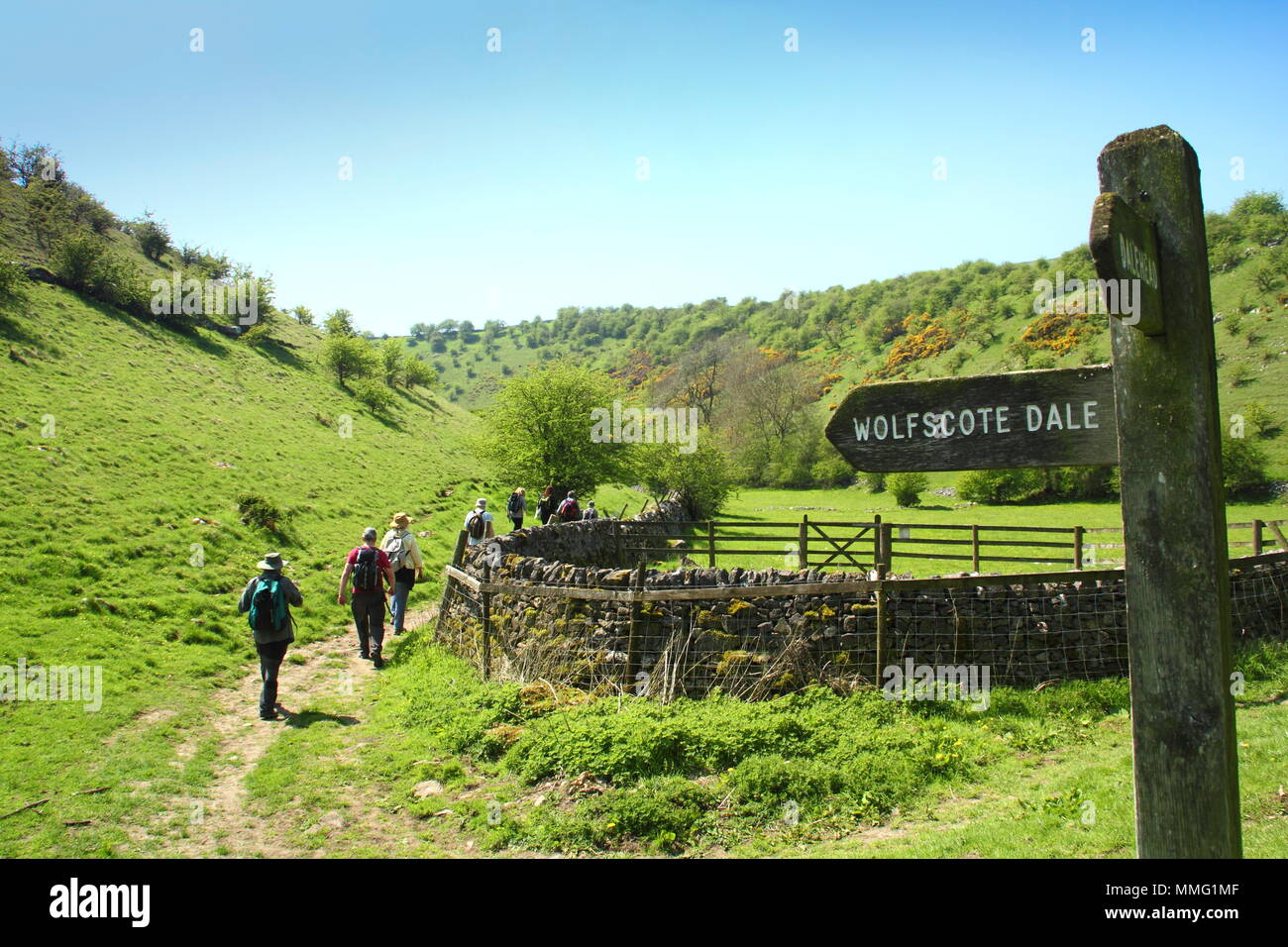 Spaziergänger auf öffentlichen Fußweg in Biggin Dale, Richtung Wolfscote Dale in der Nähe von Hartinton Dorf Nationhal Park, Peak District, Derbyshire, England, Großbritannien Stockfoto