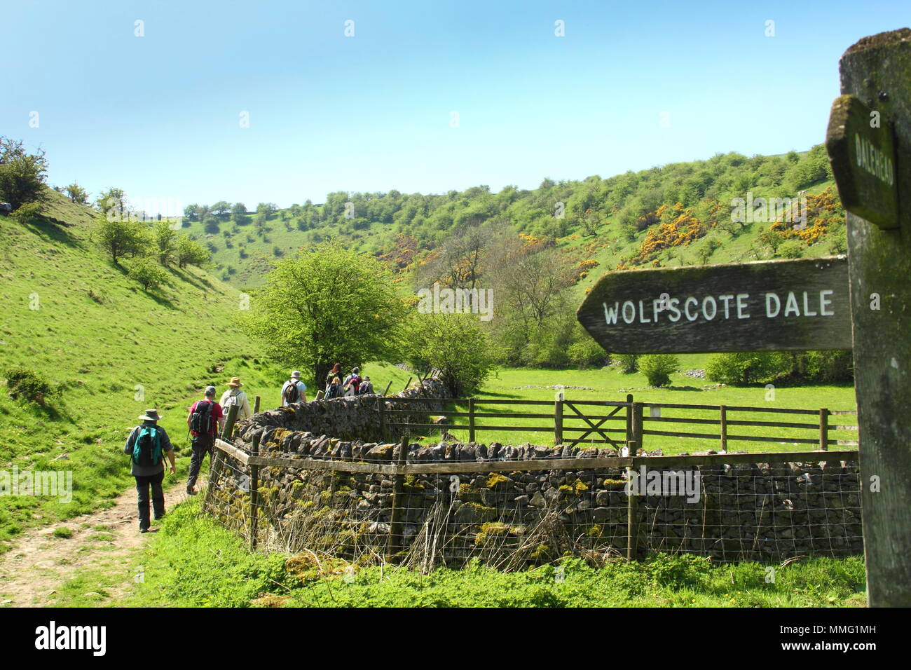 Spaziergänger auf öffentlichen Fußweg in Biggin Dale, Richtung Wolfscote Dale in der Nähe von Hartinton Dorf Nationhal Park, Peak District, Derbyshire, England, Großbritannien Stockfoto