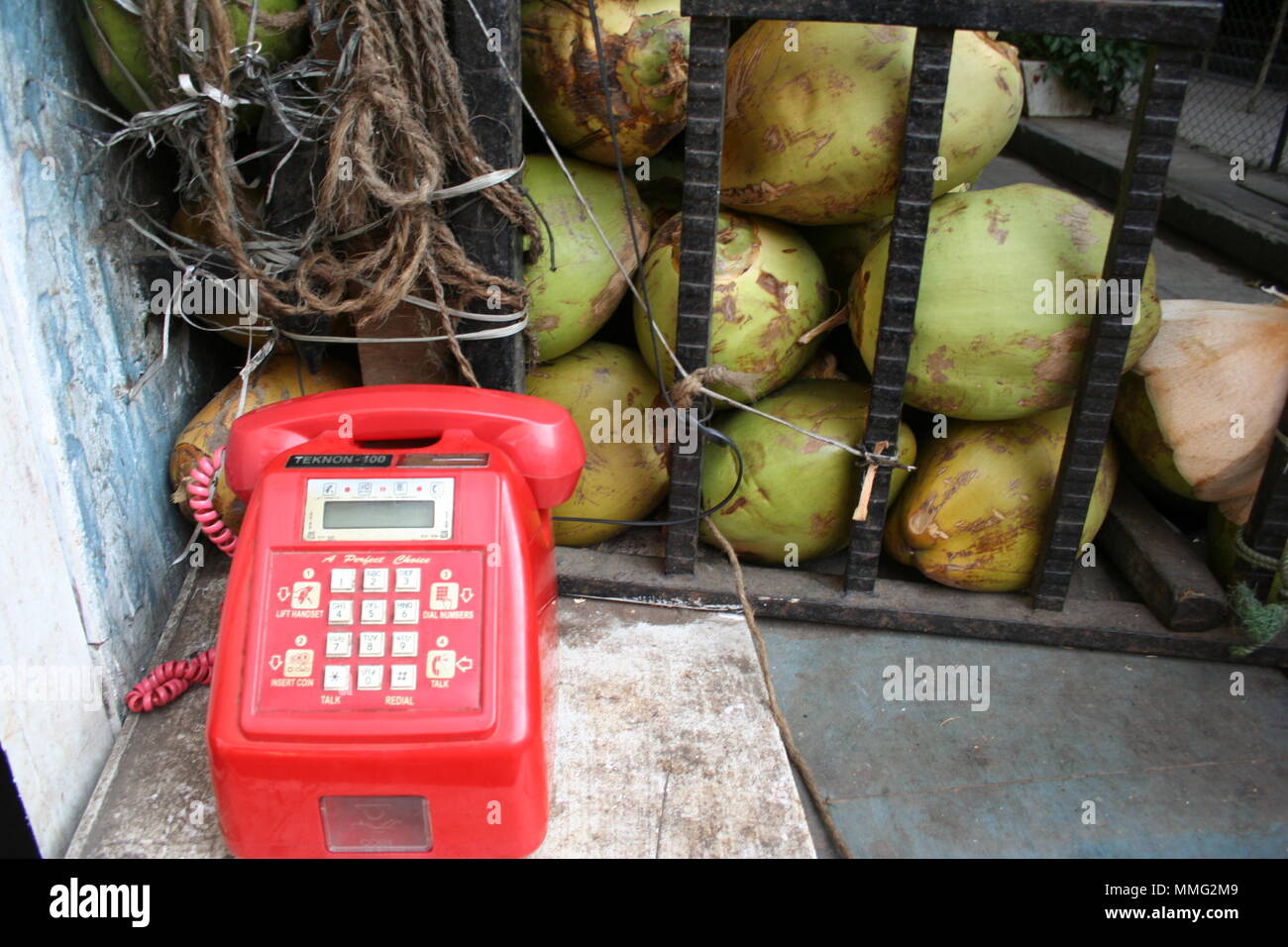 Retro Telefon und Kokosnüsse, Mumbai, Indien Stockfoto