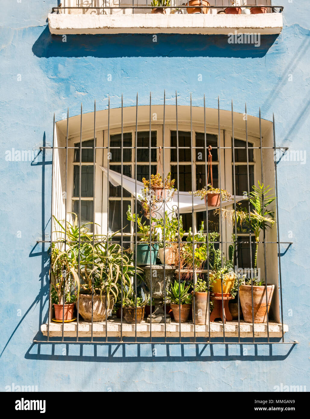 Bunt bemalten historischen Terrasse Haus Fenster mit Grill und Blumentöpfe, Providencia, Santiago, Chile Stockfoto