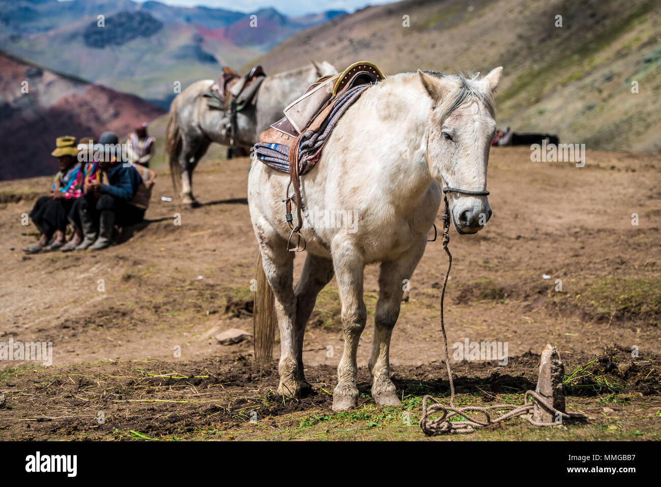 Reiten in Rainbow Mountain Peru und zurück Stockfoto