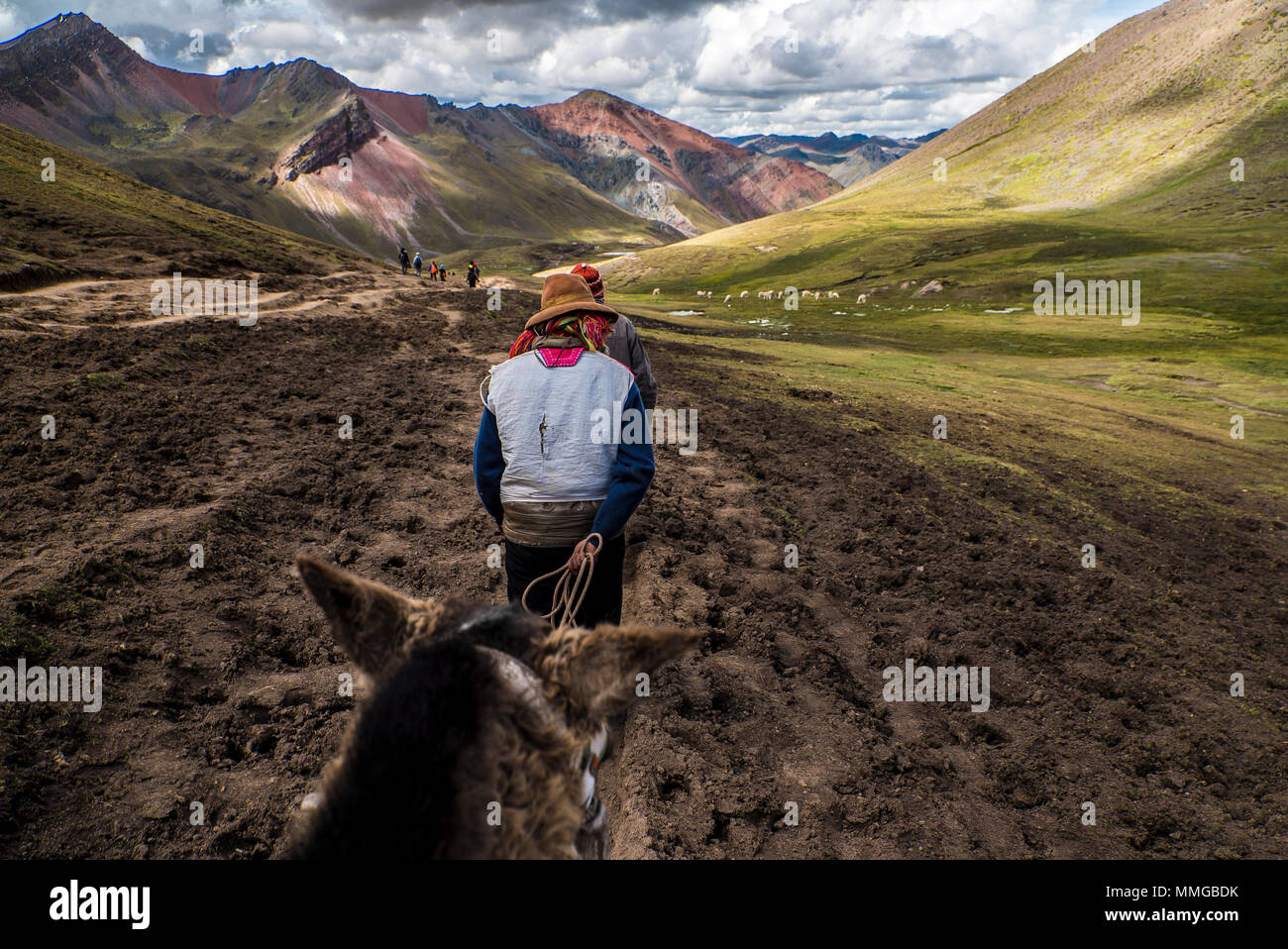Reiten in Rainbow Mountain Peru und zurück Stockfoto