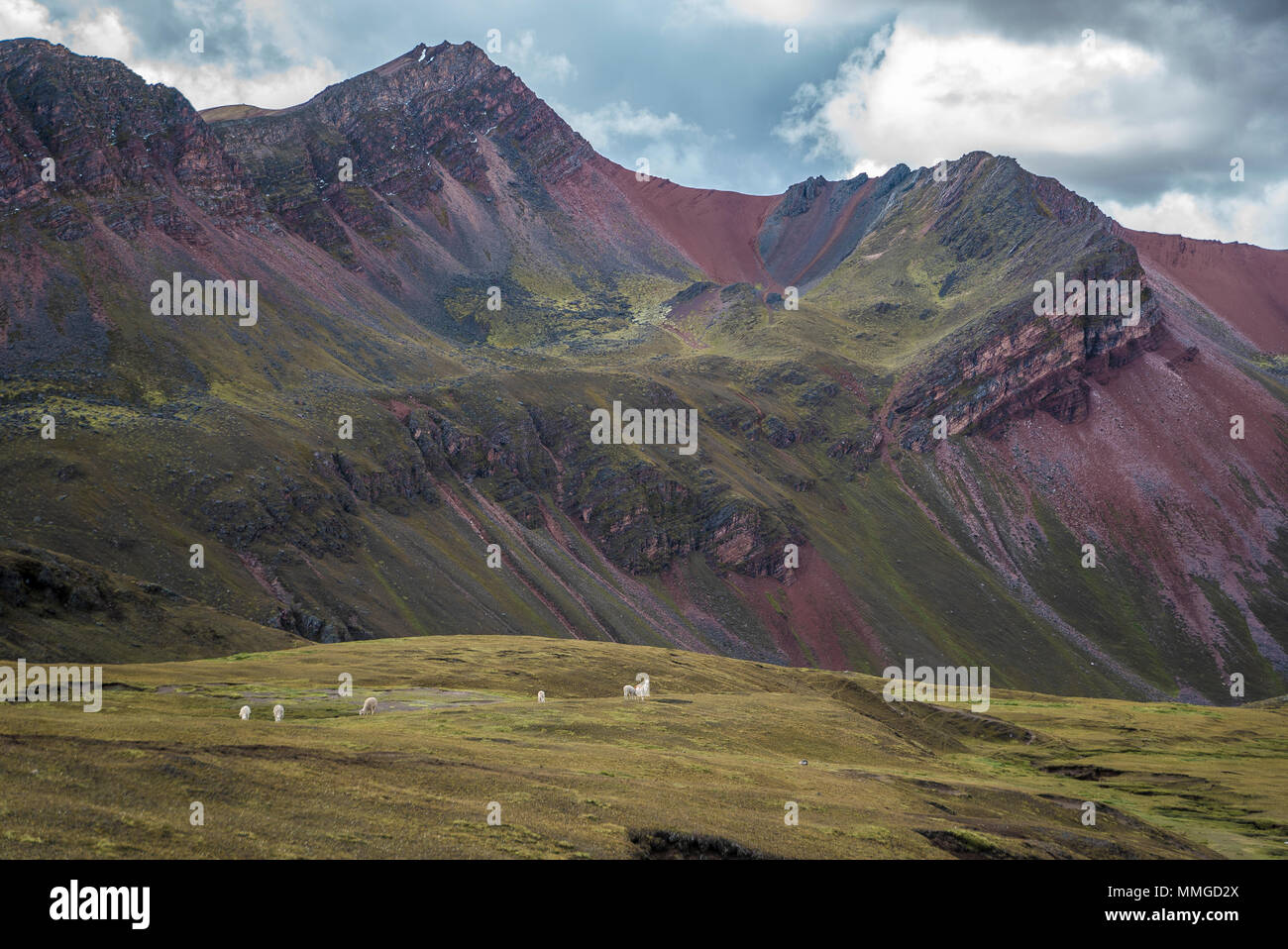 Reiten in Rainbow Mountain Peru und zurück Stockfoto