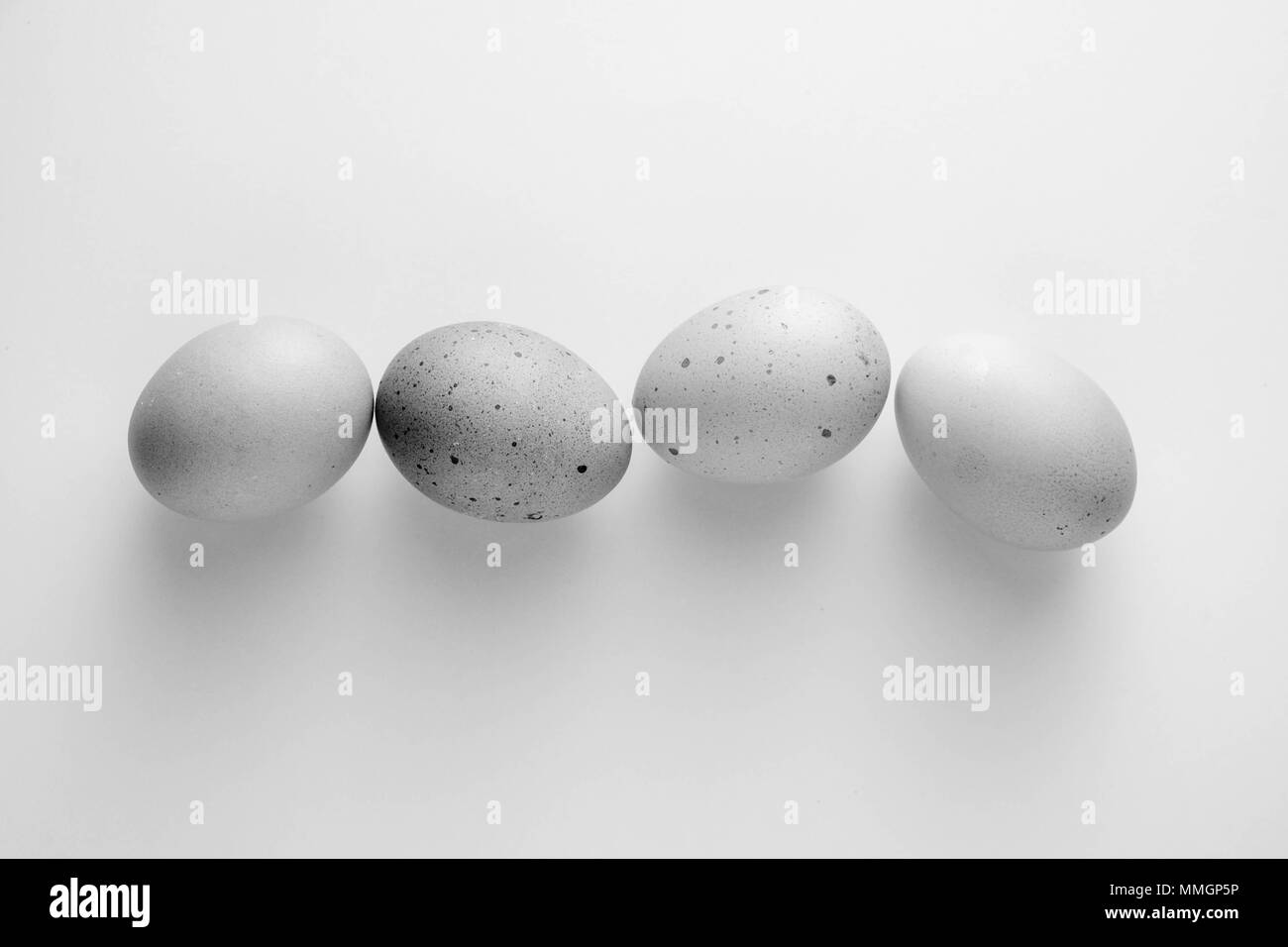 Schwarze und weiße huhn eier sind ein beliebtes Lebensmittel weltweit. Stockfoto