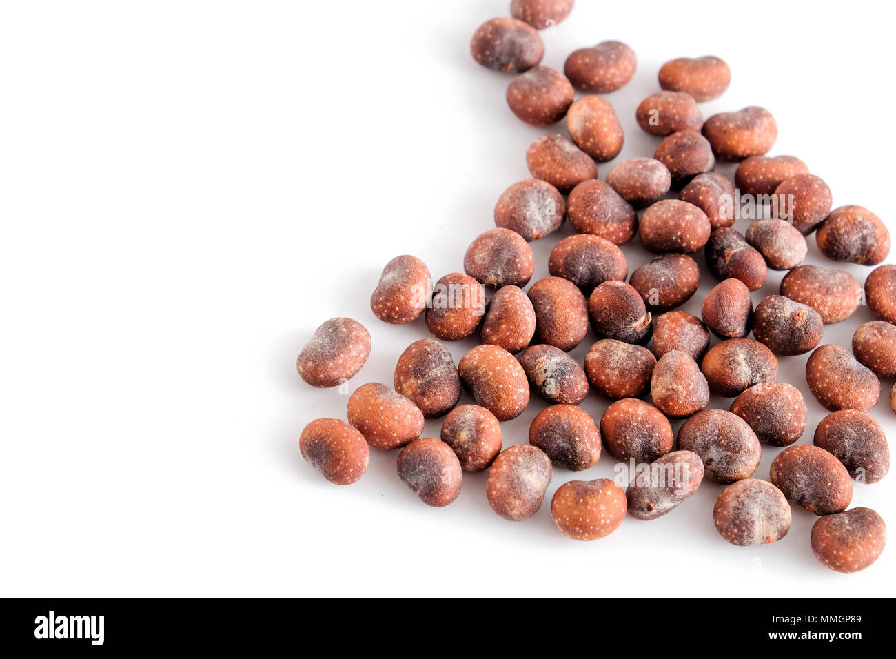 Baobab Samen auf weißem Hintergrund Stockfoto