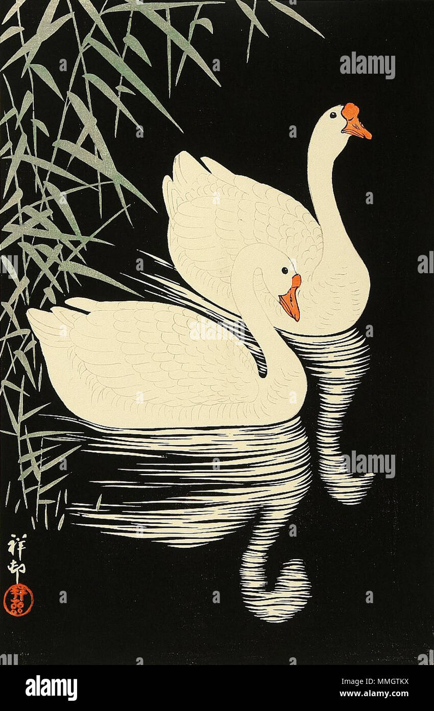 Koson-Shoson Schwäne Stockfoto