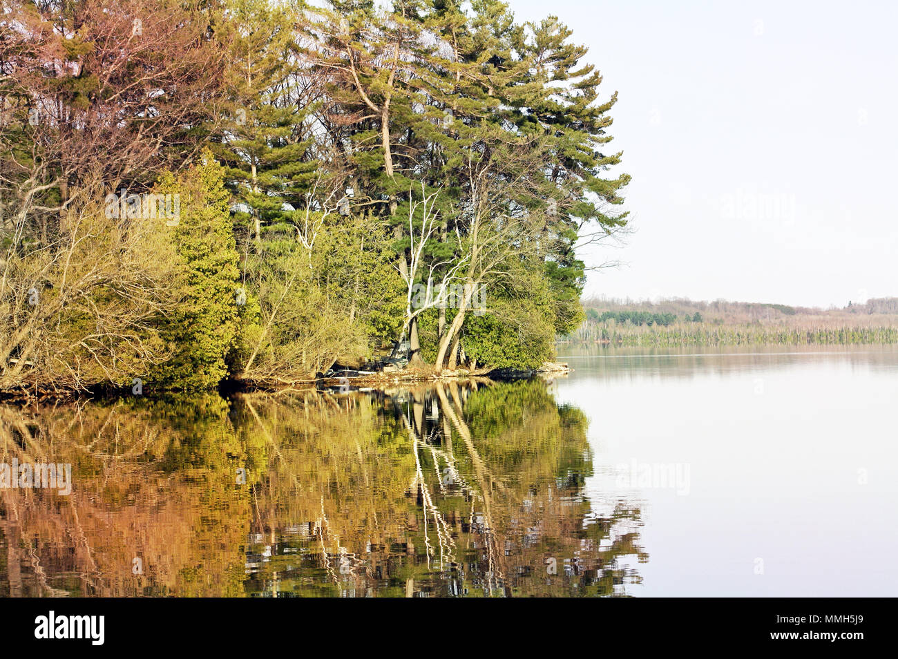 Spiegelungen der Bäume in Gold und Grün auf einem kristallklaren See Stockfoto