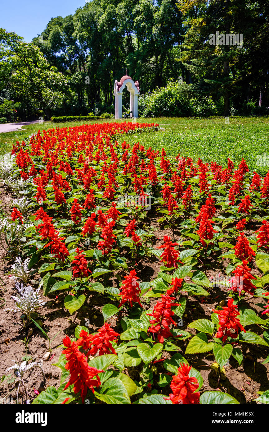 Landschaftsbau in einem öffentlichen Park in Varna, Bulgarien Stockfoto