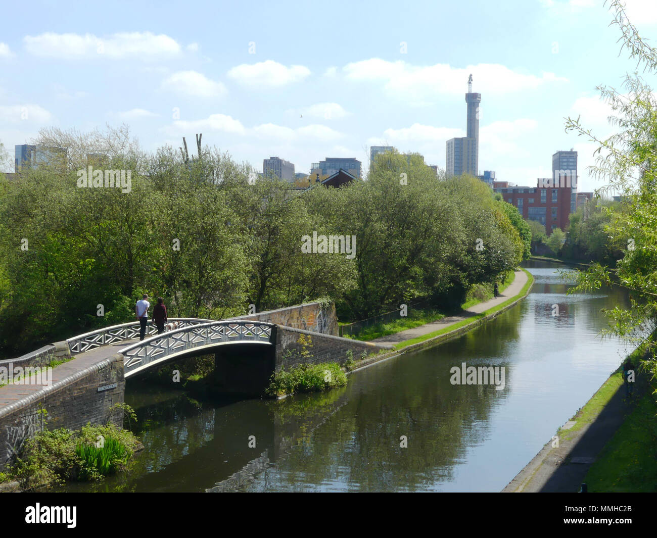 Enten in Birmingham Kanäle Stockfoto