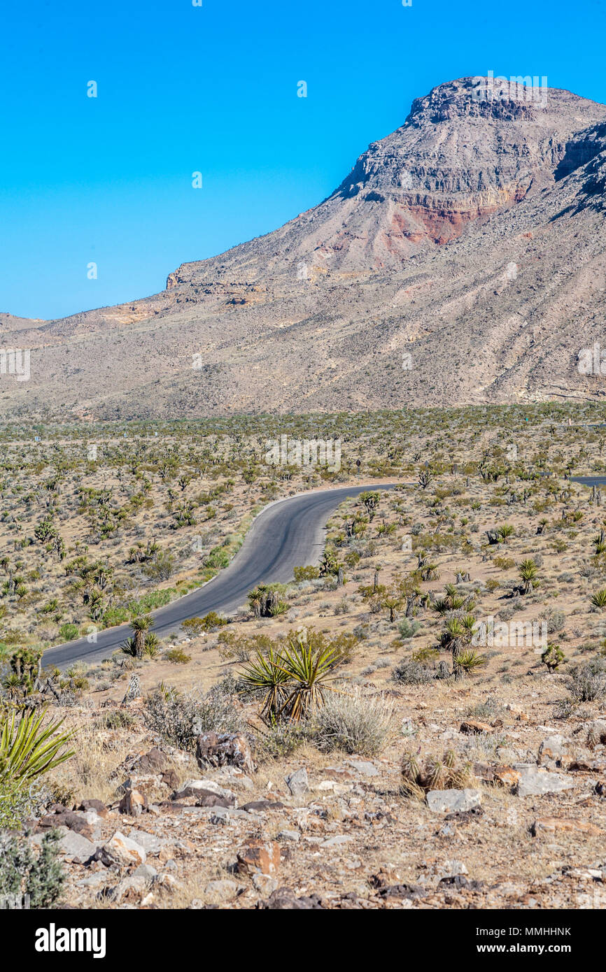 Serpentinenstraße Kurven durch die Vorberge im Red Rock Canyon National Conservation Area außerhalb von Las Vegas, Nevada Stockfoto