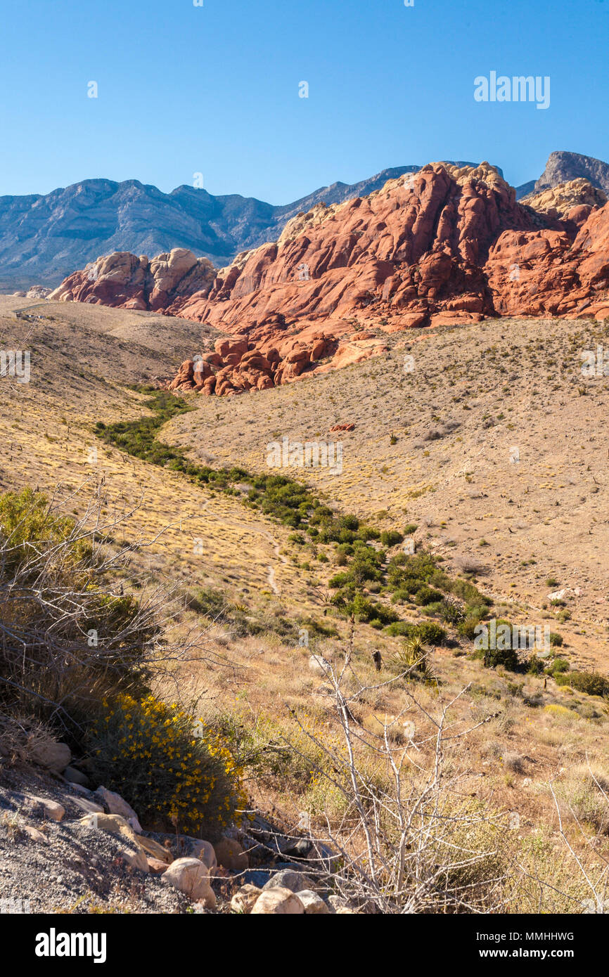 Wüstenvegetation Linien unten Senke zwischen den Felsformationen in der Red Rock Canyon National Conservation Area außerhalb von Las Vegas, Nevada Stockfoto