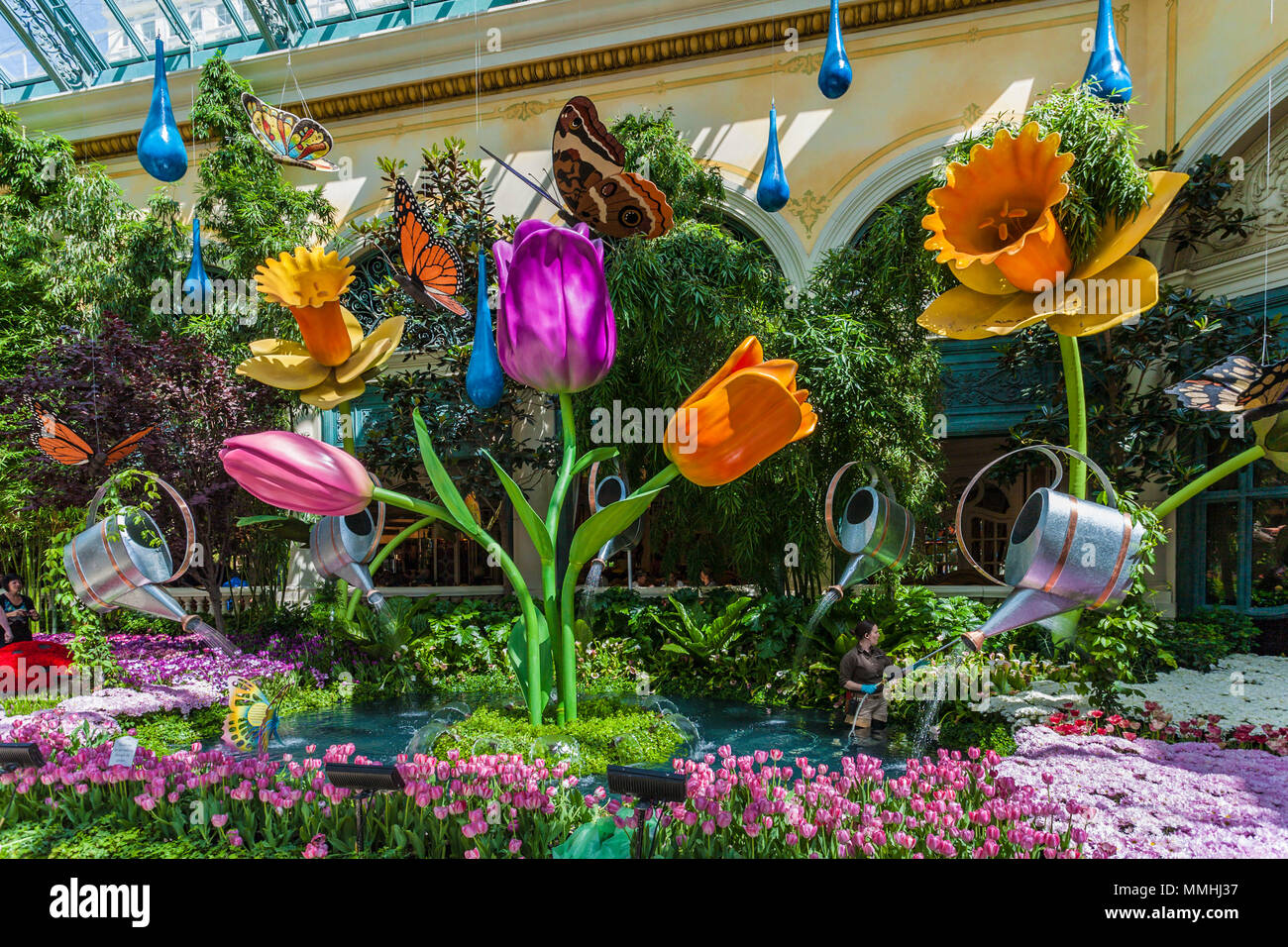Tulpenbrunnen, Narzissen und Gießkannen in Bellagio's Conservatory & Botanical Gardens auf dem Las Vegas Strip in Paradise, Nevada Stockfoto