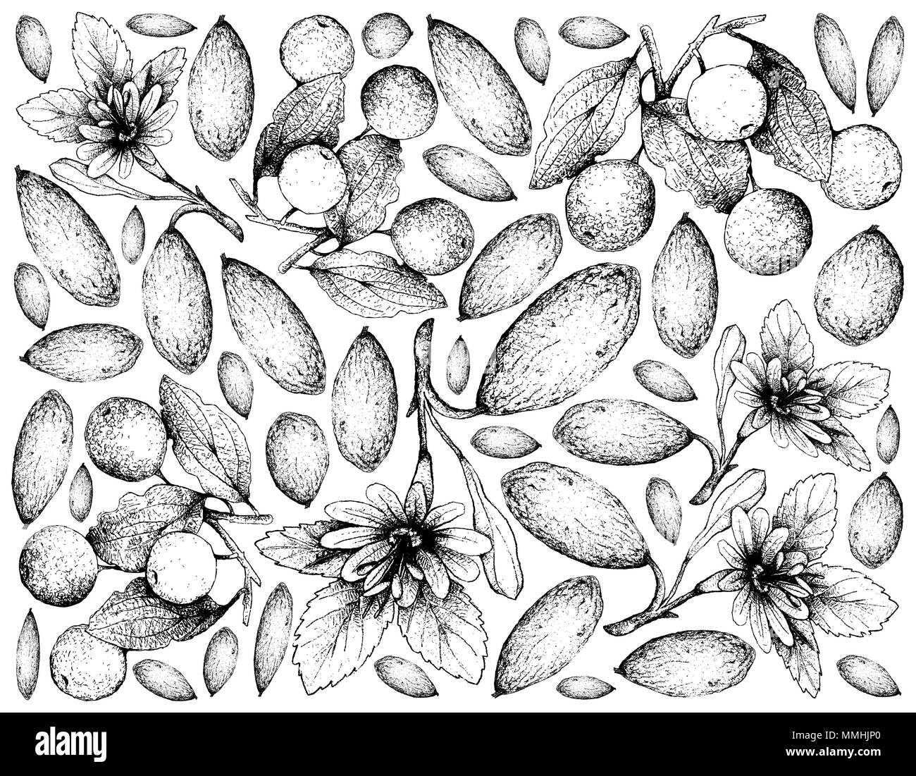 Tropische Früchte, Illustration Wallpaper von Hand gezeichnete Skizze von Bananen Maracuja oder Passiflora Mollissima und Buffalo Thorn oder Ziziphus Mucronata F Stockfoto