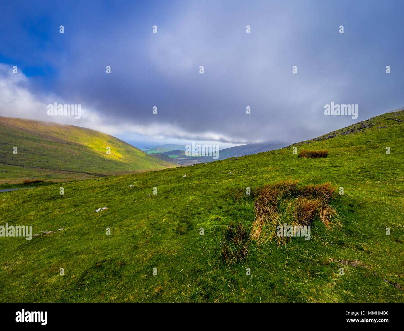 Das grüne Gras Hügel von Irland - schöne Landschaft Stockfoto