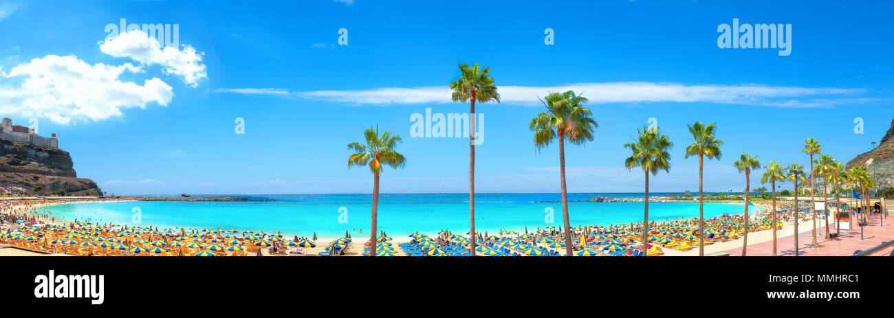 Panoramablick auf den berühmten Strand von Amadores und der Strandpromenade mit Palmen. Spanisch Resort. Gran Canaria, Kanarische Inseln, Spanien Stockfoto