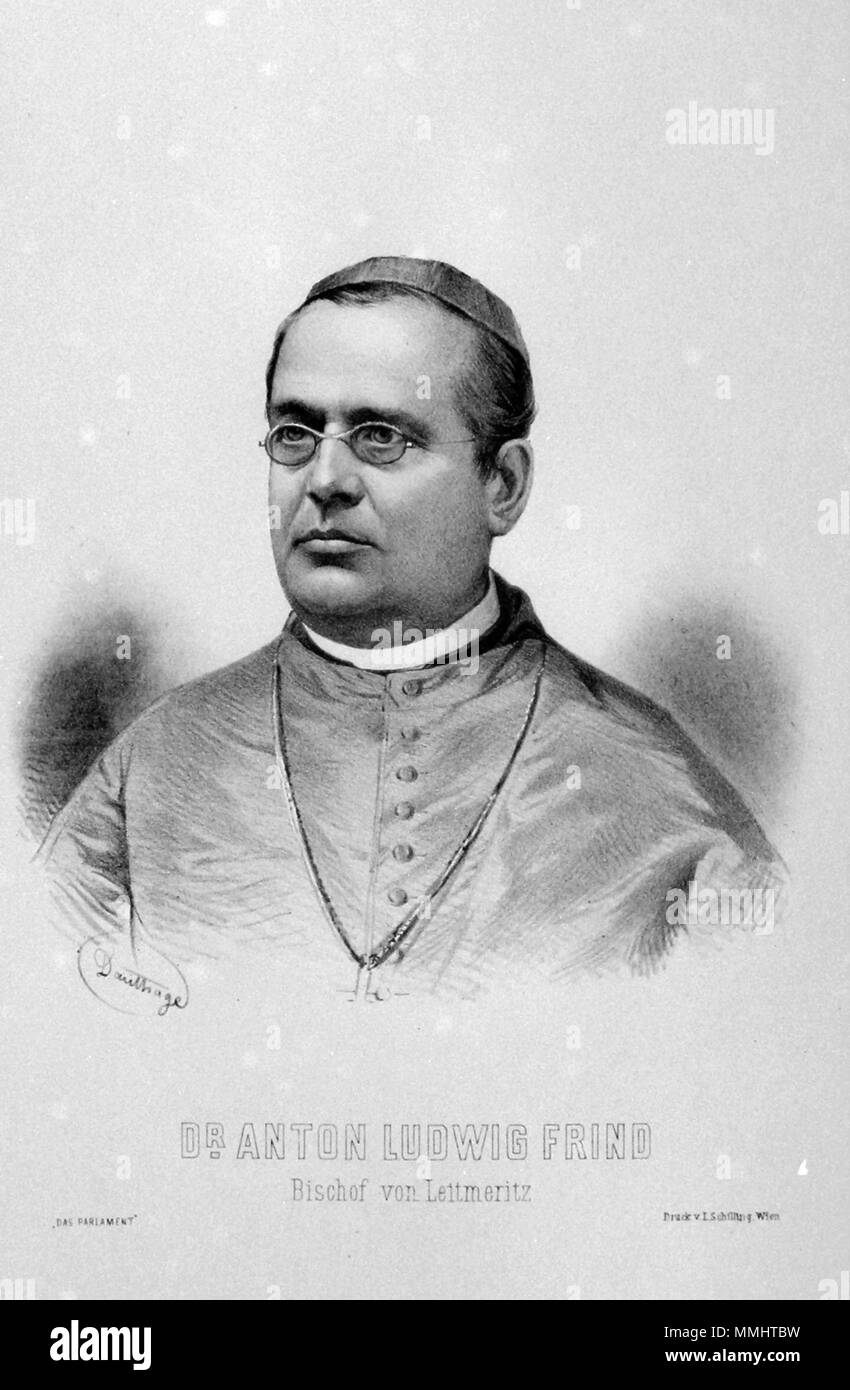 . English: Anton Ludwig Geschichte (1823-1881), Dr. tholog. Bischof von nach Leitmeritz, Abgeordneter zum böhmischen Landtags. Lithographie von Adolf Dauthage, 1880. 1880. Adolf Dauthage (1825-1883) Anton Ludwig Geschichte Litho Stockfoto