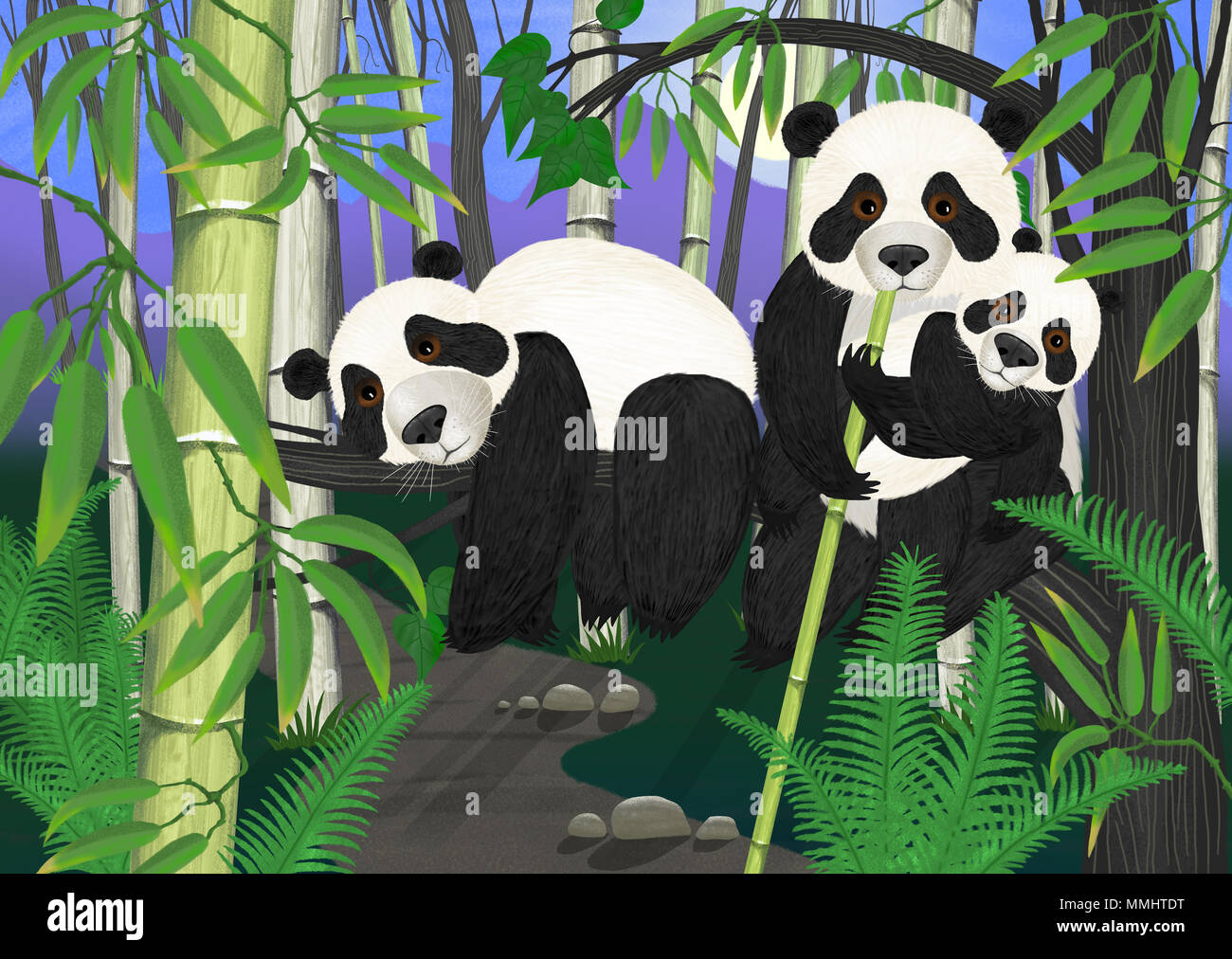 Ein Beispiel für eine Familie von pandas in einem Baum im Dschungel, Bambus essen. Stockfoto