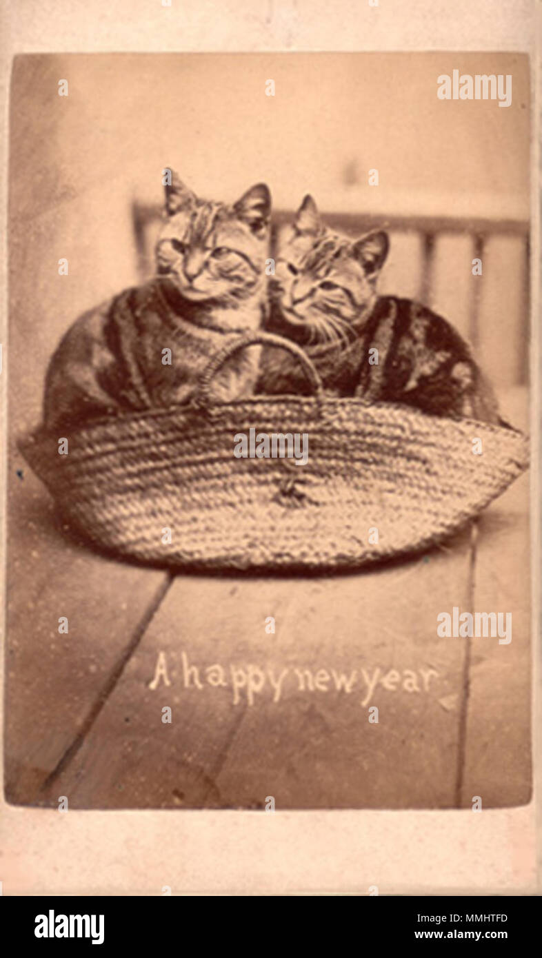 . Englisch: Zwei Katzen in einem Korb, a-la-carte aus 'Brighton Katzen"-Reihe, die von Harry Zeiger an seinem Bloomsbury Place Studio in Brighton fotografiert. Das Foto trägt die Grußansage" ein Glückliches Neues Jahr". . 1870. Harry Zeiger (1822-1889) 103 BTNPointercat 12. Stockfoto