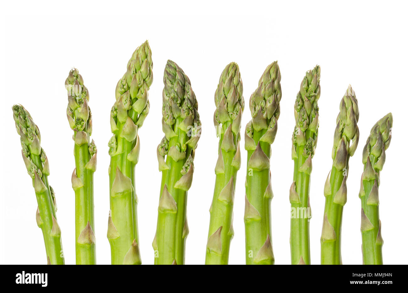 Frische grüne Spargelspitzen in einer Reihe. Sparrow Gras. Kultiviert Asparagus officinalis. Frühling Gemüse mit dicken Stielen und geschlossenen Knospen. Essen Foto. Stockfoto